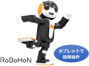 介護施設向けレクリエーションロボット「ロボシルバーパーク」 22